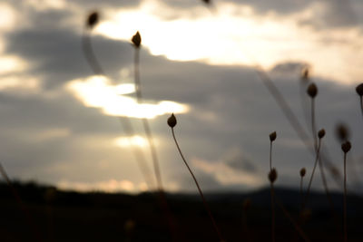 sky