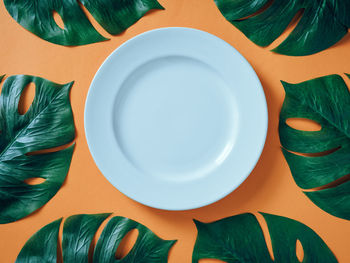 Directly above shot of plate and leaves on table