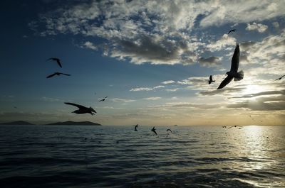 Silhouette of people flying over sea