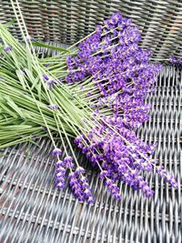 Close-up of purple flowering plants