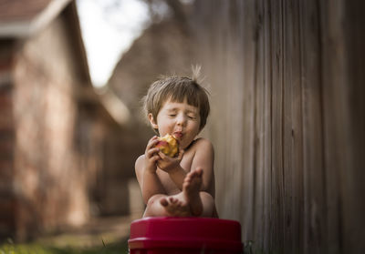 Boy eating apple while sitting on bench by wooden fence in backyard