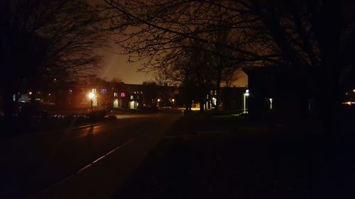 Bare trees along road at night