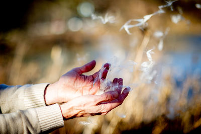 Close-up of hands holding dandelion seeds