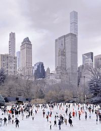 Winter in central park new york 