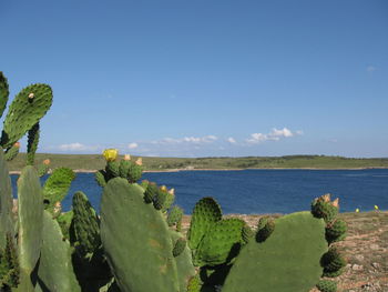 Scenic view of sea against blue sky