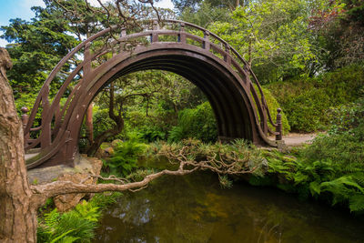 Arch bridge over river against trees