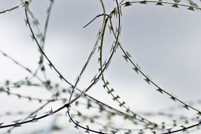 Low angle view of barbed wire against sky