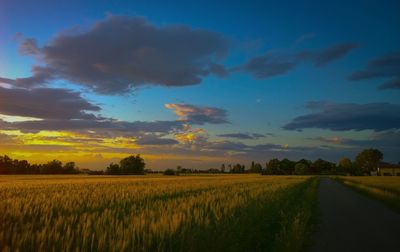 Scenic view of field against sky at sunset