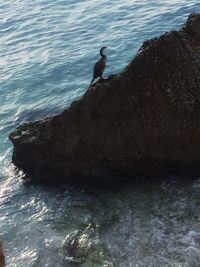 High angle view of man on cliff by sea