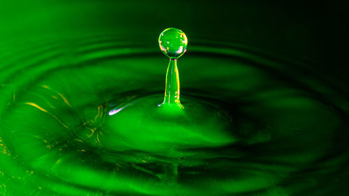 Close-up of drop falling on water