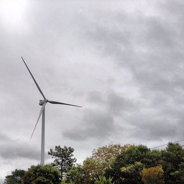 alternative energy, windmill, wind power, wind turbine, environmental conservation, low angle view, fuel and power generation, renewable energy, sky, tree, technology, cloud - sky, traditional windmill, cloudy, nature, weather, overcast, day, growth, no people