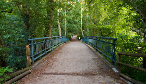 Bridge against trees in forest