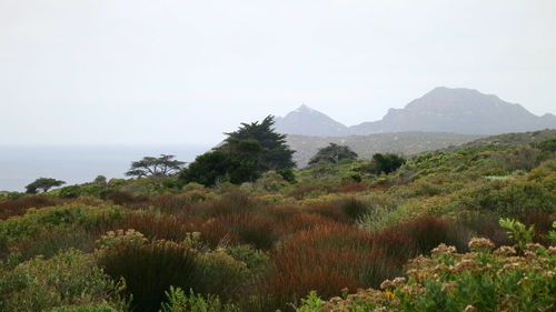 Scenic view of mountains against clear sky