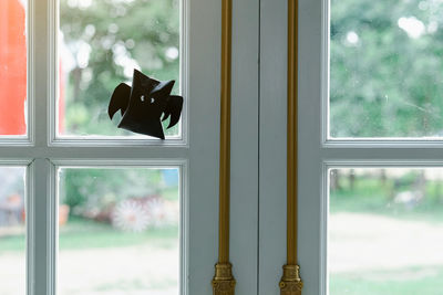 Origami bat made of black paper, isolated on glass window or door background. 