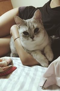 Close-up of cat sitting on bed