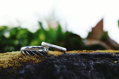 Close-up of wedding rings on rock