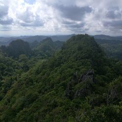 Scenic view of forest against sky