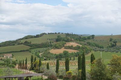 Scenic view of agricultural field against sky