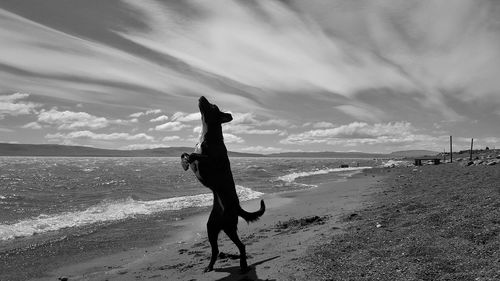 Full length of man on beach against sky