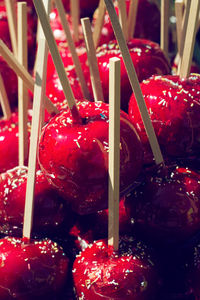 Close-up of red berries