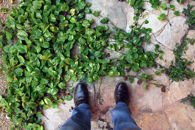 Low section of man standing by leaves