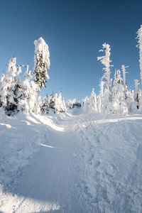 Snow covered landscape against blue sky