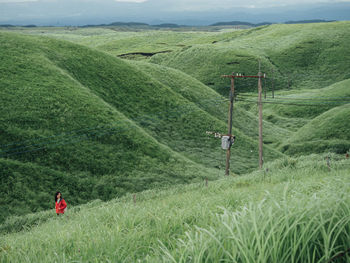 Scenic view of grassy field