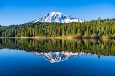 Reflection of trees in lake against blue sky