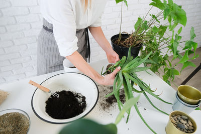 Midsection of man holding potted plant