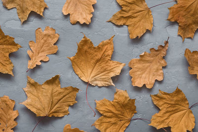 Autumn composition. pattern made of autumn leaves on dark gray concrete background