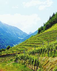 Scenic view of landscape against sky