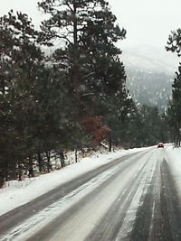 Road passing through forest