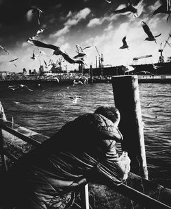 Seagulls flying over harbor against sky