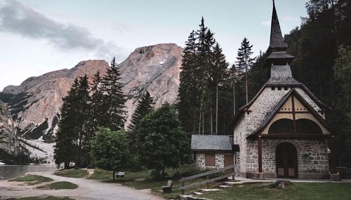 Panoramic shot of trees and buildings against sky