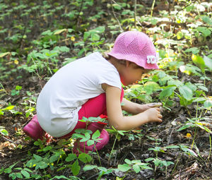 A little girl collects edible mushrooms in a summer forest