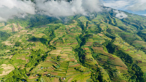 Top view of farmland and rice terraces on the slopes of the canlaon volcano. negros, philippines