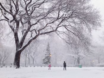 Bare trees on snow covered landscape