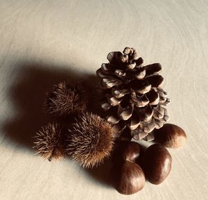 High angle view of berries on table