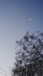 Low angle view of bare trees against blue sky