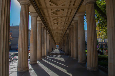 Columns in colonnade