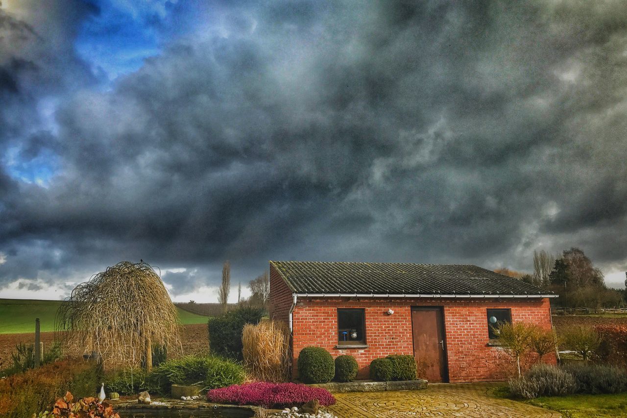 VIEW OF STORM CLOUDS OVER TREES