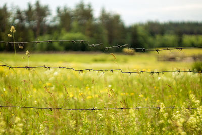 Close-up of barbed wire on field against sky