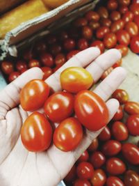 High angle view of tomatoes