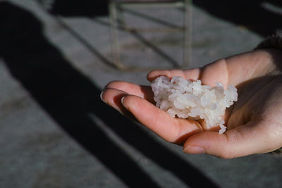 High angle view of person hand holding rice