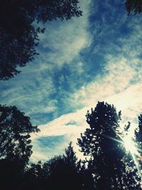 Low angle view of trees against cloudy sky