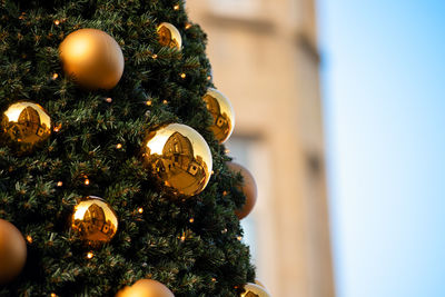 Close-up of illuminated christmas tree