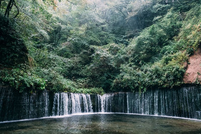 Scenic view of waterfall