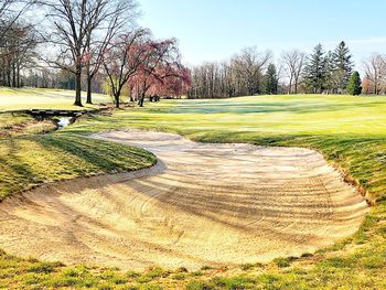 Bare trees on field against sky