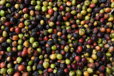 Texture of coffee beans after the harvest is being dried