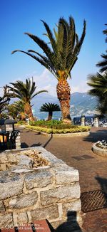 Palm trees and rocks against sky